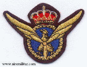 Escudo Bordado Piloto aviacion Civil (comercial) Dorado